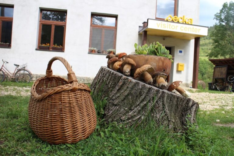 Visitor-Center-Pecka-Centar-za-posjetioce-Pecka-Gornja-Pecka-AbrasRadio-Boro-Maric-Greenways-OKC-Abrasevic-Mostar-ekologija-Bosna-i-Hercegovina