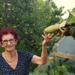 Hercegovina Online - #13 Gordana Šimović - Fatima Mehić - Konjic banane