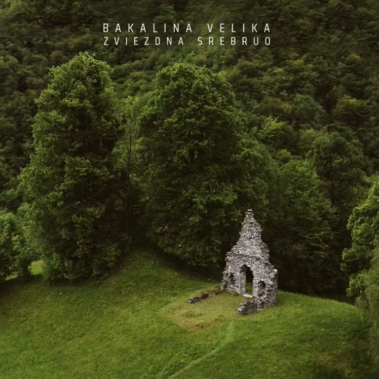 Anatomija-zvuka-Bakalina-Velika-ABRASRADIO