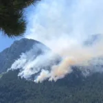 Kako sanirati posljedice požara na Blidinju?Kako sanirati posljedice požara na Blidinju?