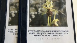 14 divljerastućih orhideja prisutno na području Parka prirode Hutovo blato
