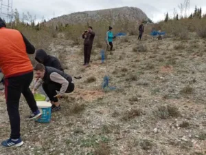 UG “Nova snaga” Mostar provelo još jednu akciju pošumljavanja iznad naselja Šehovina