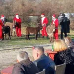 Čapljina organizira utrke Djeda Mrazova na magarcima iz cijele BiH