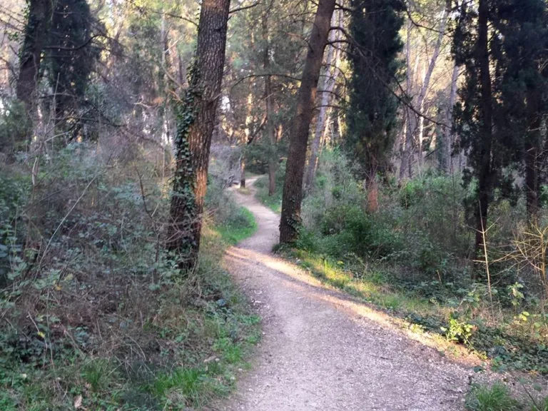 Trimuša
