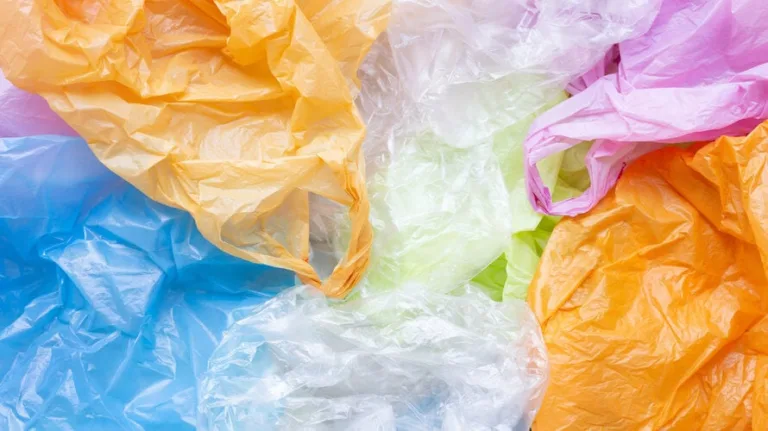 Ekolozi u S. Makedoniji traže zabranu za plastične kese