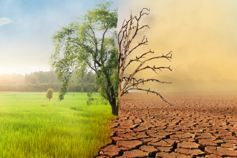 Svijet mora djelovati odmah kako bi deaktivirao klimatsku tempiranu bombu