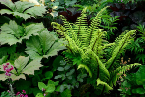 Evo kako biljke komuniciraju u prirodi