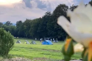 Poziv mladima za učešće u mirovnom kampu u okviru projekta “EU za mlade mirovnjake u BiH”