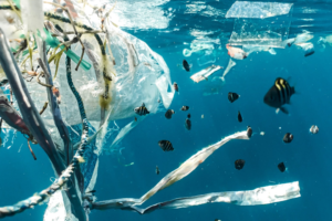 Nova studija otkrila koliko je mikroplastike u britanskim vodama