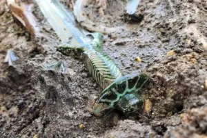 U Njemačkoj pronađen mač star više od 3.000 godina