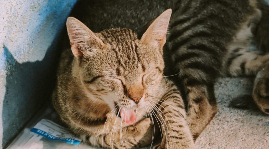 Godišnji pregled 2024; OKC Abrašević (39)