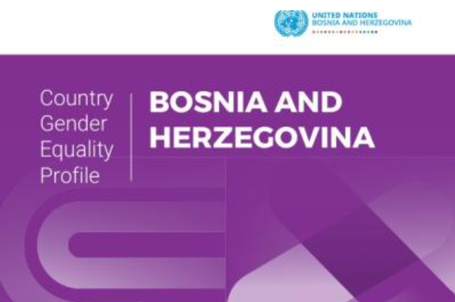 Vizual uz istraživanje o medijskom izvještavanju o rodno zasnovanom nasilju u Bosni i Hercegovini