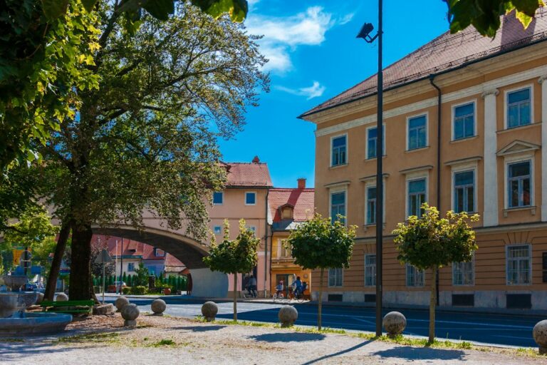 Stambene zgrade u evropskom gradu